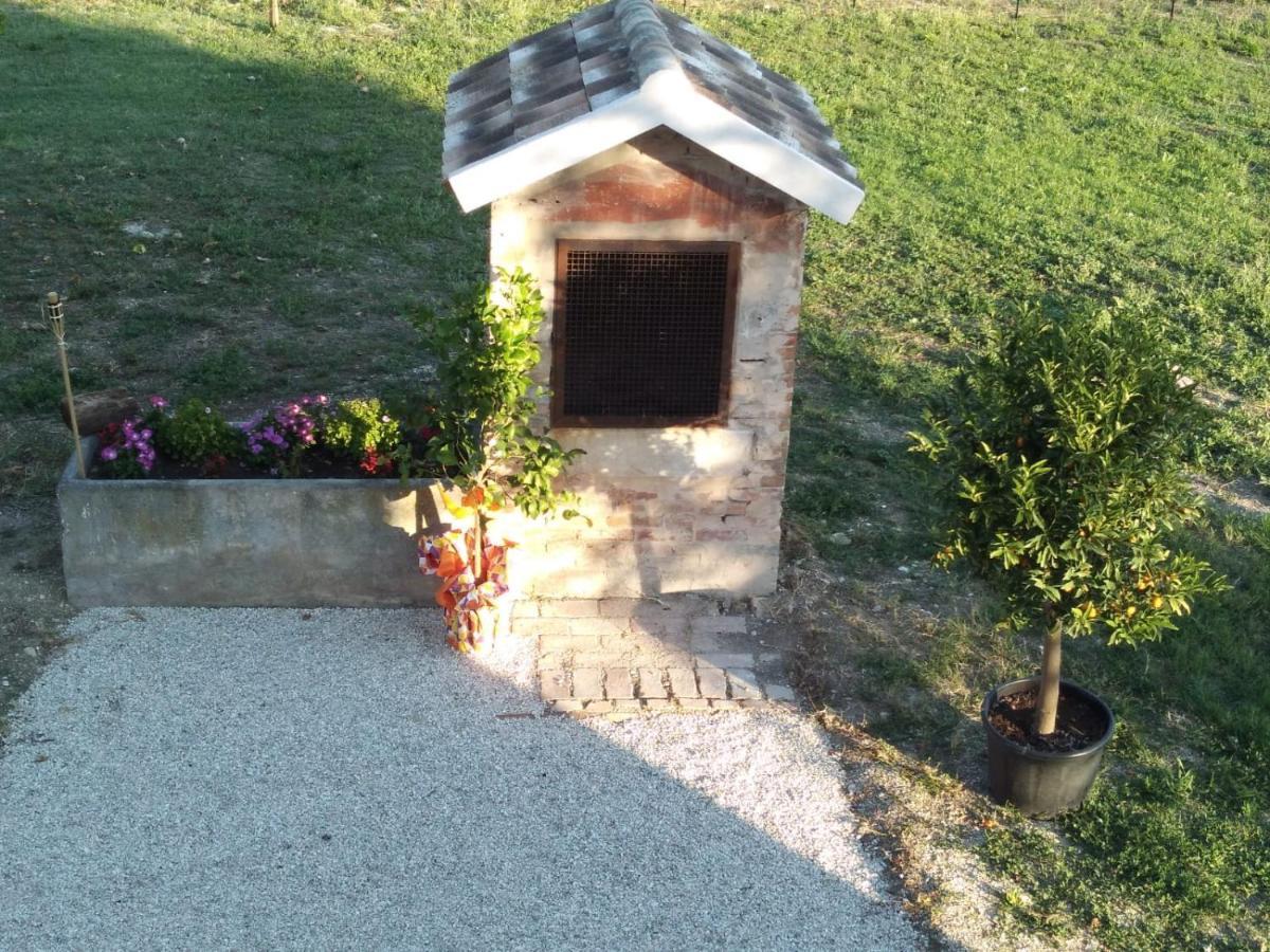 La Dolce Vita Порто Реканати Екстериор снимка